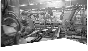 Service card background