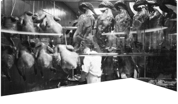 Service card background