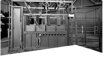 Service card background